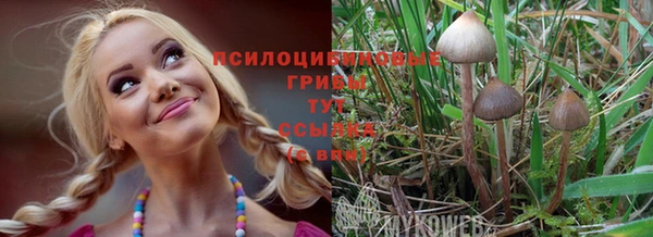 мдпв Богданович