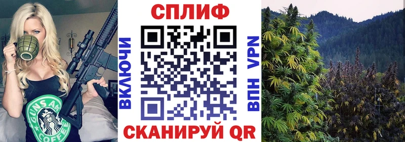 Бошки Шишки марихуана  мега как зайти  Гусь-Хрустальный 